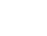 vivo logo